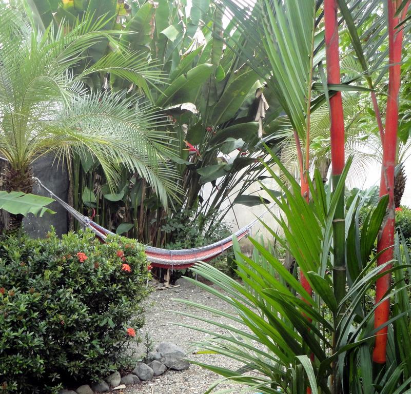 Cabinas Tropicales Puerto Jiménez Zewnętrze zdjęcie