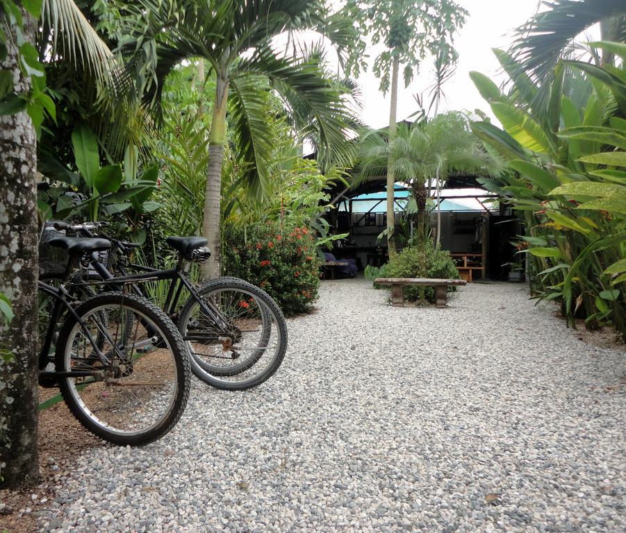 Cabinas Tropicales Puerto Jiménez Zewnętrze zdjęcie
