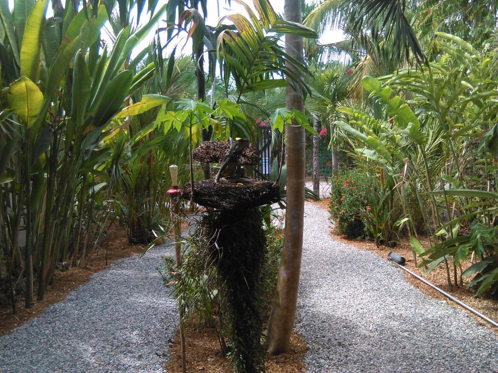 Cabinas Tropicales Puerto Jiménez Pokój zdjęcie