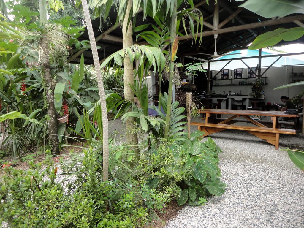 Cabinas Tropicales Puerto Jiménez Pokój zdjęcie