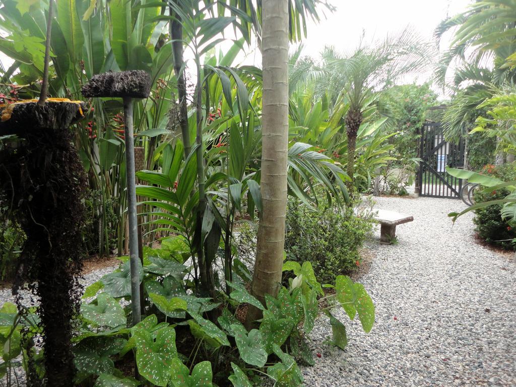 Cabinas Tropicales Puerto Jiménez Zewnętrze zdjęcie