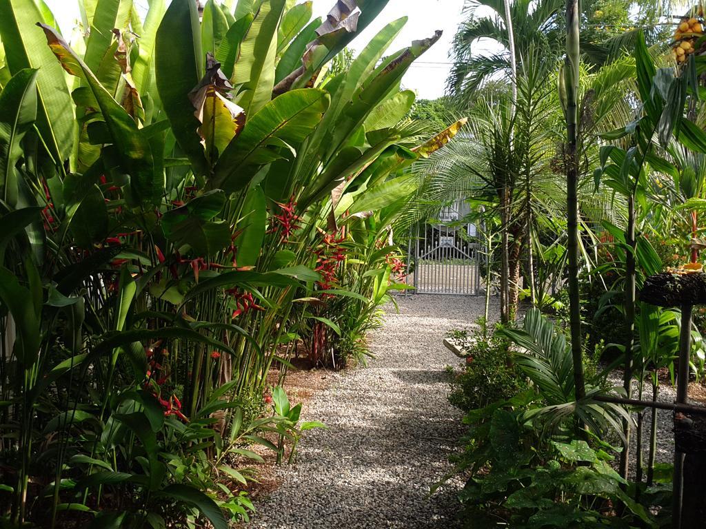 Cabinas Tropicales Puerto Jiménez Zewnętrze zdjęcie