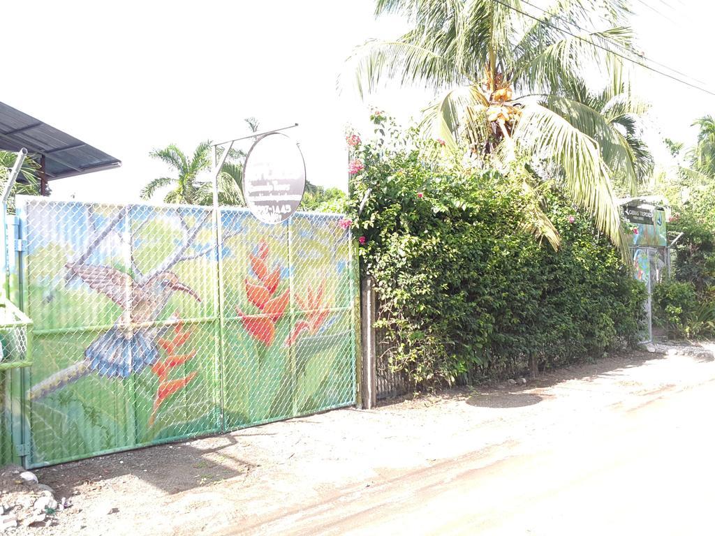 Cabinas Tropicales Puerto Jiménez Zewnętrze zdjęcie