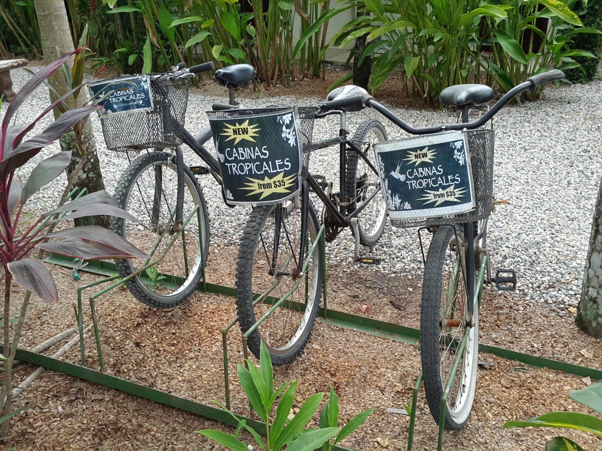 Cabinas Tropicales Puerto Jiménez Zewnętrze zdjęcie